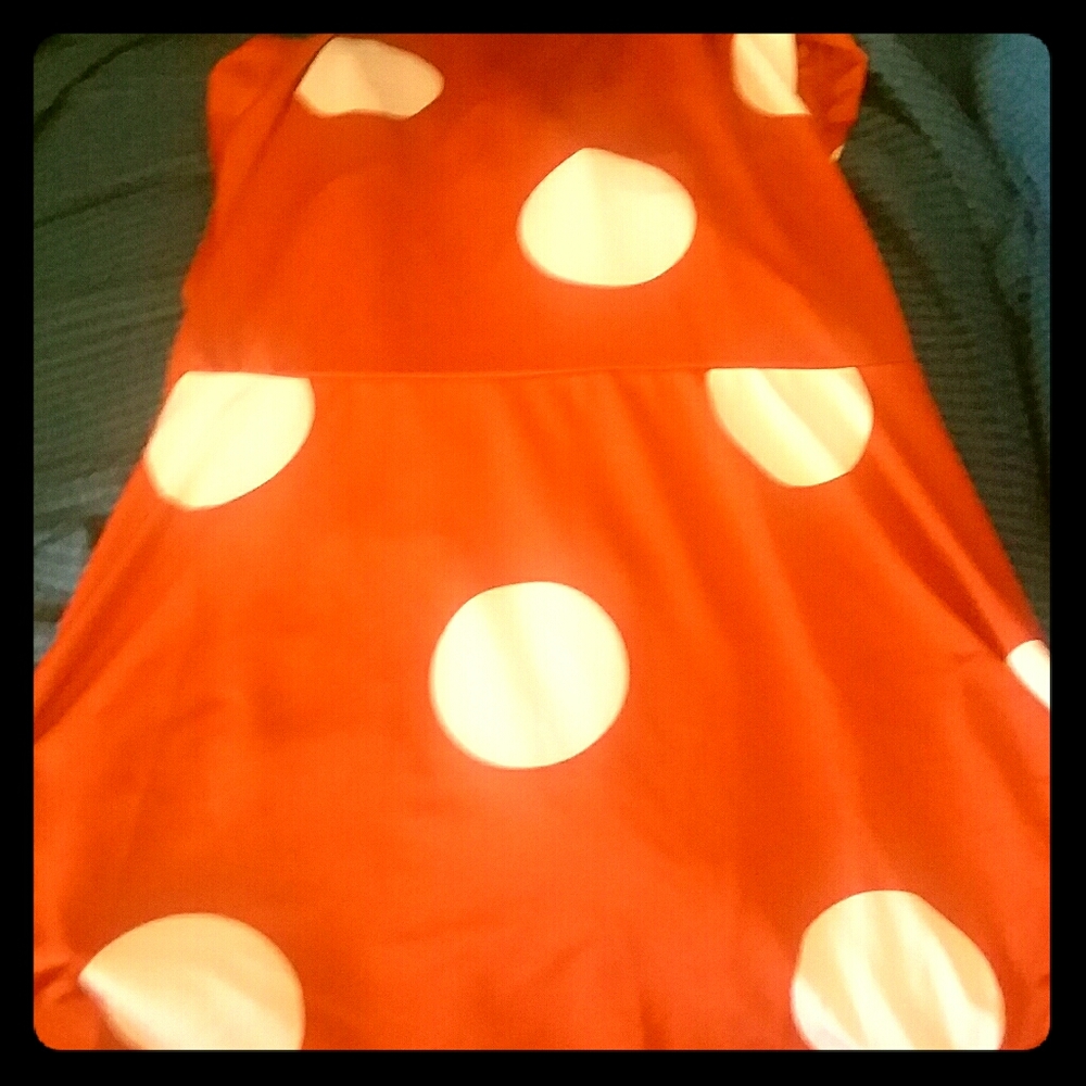 LuLaRoe Bella Skirt XL